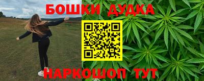 соль ск Партизанск