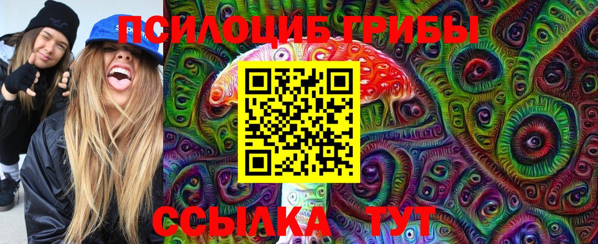 Сосновоборск  Псилоцибиновые грибы Magic Shrooms  Вход с VPN  Псилоцибиновые грибы Magic Shrooms 