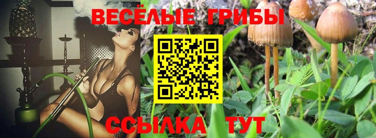 Галлюциногенные грибы MAGIC MUSHROOMS Сосновоборск