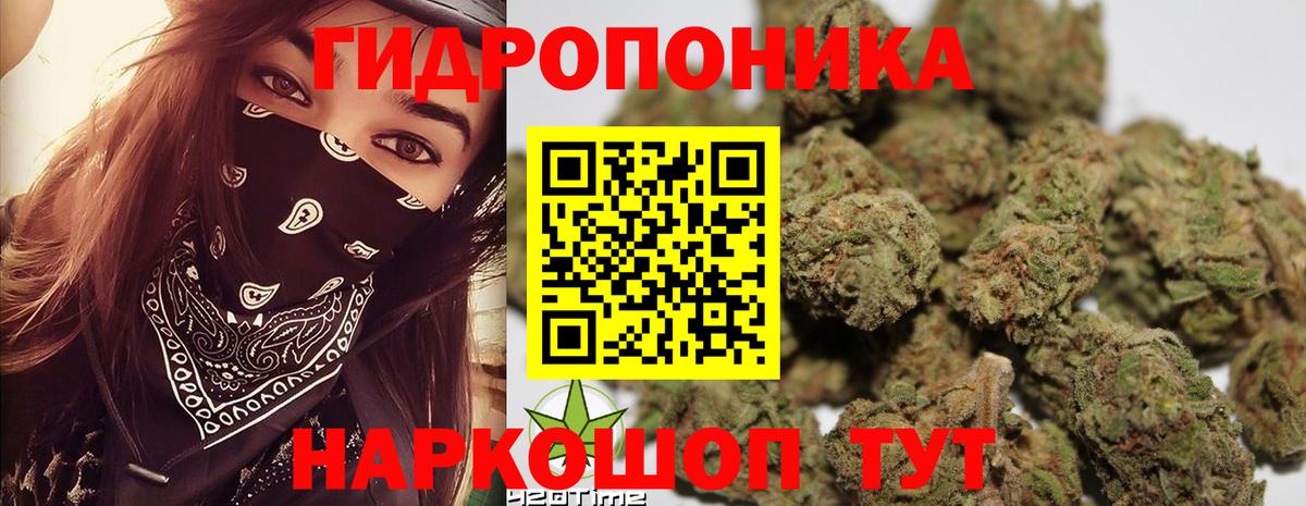 Бошки Шишки THC 21% Сосновоборск